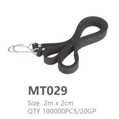 MT029
